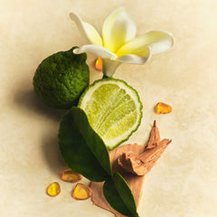 All Over Deo - Fresh Notes